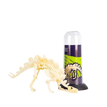 The completed Stegosaurus fossil skeleton pictured next to the tube packaging.