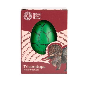 The green hatching egg is shown in its dark red and pale pink cardboard packaging, which features a Triceratops and the words 'Roar' repeated in a circle.