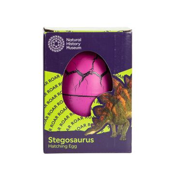The purple hatching egg is shown in its dark purple and lime green cardboard packaging, which features a Stegosaurus and the words 'Roar' repeated in a circle.