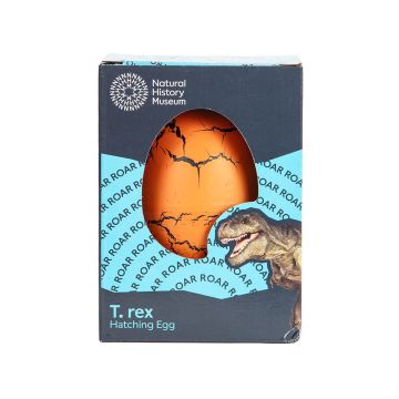 The orange hatching egg is shown in its dark and light blue cardboard packaging, which features a T. rex and the words 'Roar' repeated in a circle.
