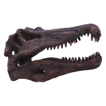 Right side view of the Spinosaurus Replica Skull with its long mouth and teeth.