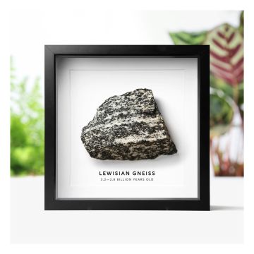The specimen is shown on a white background, in the black box frame. The words 'Lewisian Gneiss and 3.2-2.8 billion years old' are printed below the rock. In the background are blurred images of plants.