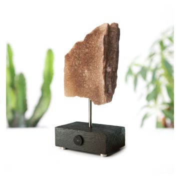 The specimen is sand coloured and shaped like a jagged block. It is displayed on its pole, which is fixed into a dark wooden block, embossed with the NHM logo. Surrounding it are plants.