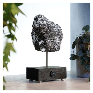 The specimen is speckled white and black, and shaped like a jagged block. It is displayed on its pole, which is fixed into a dark wooden block, embossed with the NHM logo. Surrounding it are plants.