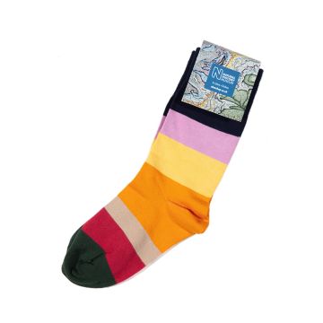 William Smith Geological Map Socks