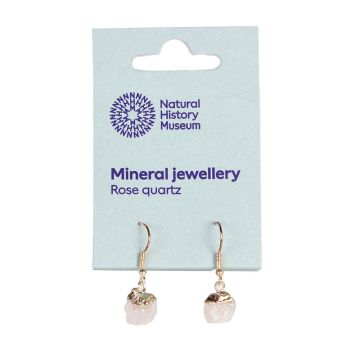 The pair of earrings are shown with their packaging label. 