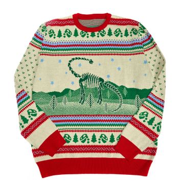 The jumper’s front shows Fern the Diplodocus in green, against a white background. The collar, hem and cuffs are bright red and there’s a row of green dinosaur skulls alternating with fir trees.