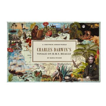 An overhead shot of the lid of the packaging. The central label has the puzzle title on it. It is surrounded by some of the wildlife and map illustrations that feature on the puzzle, including Darwin in the bottom right corner.