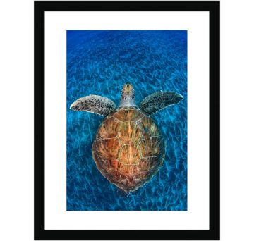 Turtle Gem Wall Print in a dark grey frame and white border. The swimming turtle is photographed from overhead, showing its brown shell, front flippers and head. The bright blue sea and ridges of the sandy ocean floor become the background.