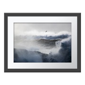 Storm Gull Wall Print in a dark grey frame and white border. A gull flies above the stormy, swirling waves.