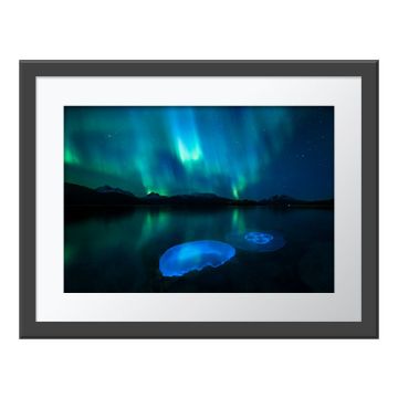  Aurora Jellies Wall Print in a dark grey frame and white border. The blue and green aurora borealis lights glow in the dark sky above a fjord where two jellyfish swim and reflect the colours.