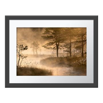 Cotton Mist Wall Print in a dark grey frame with a white border. The print is of clouds of morning mist rising above water that meanders through the trees.