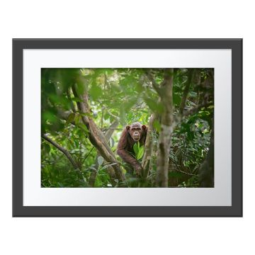 A framed version of the Curious Connection Wall Print.