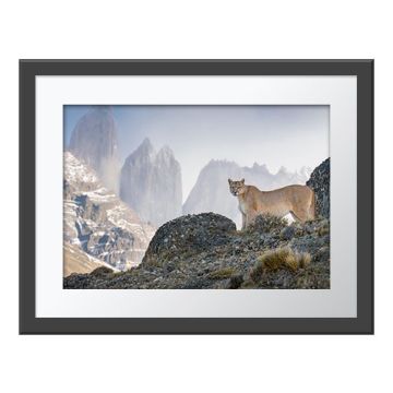 A framed version of the Scanning the Realm Wall Print.