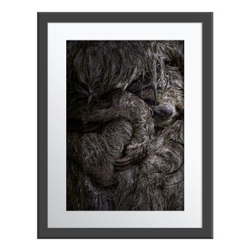 Hold Me Tightly Wall Print in a grey frame. A young sloth sleeps against the fur of its mother, with its arm wrapped over its foot. 