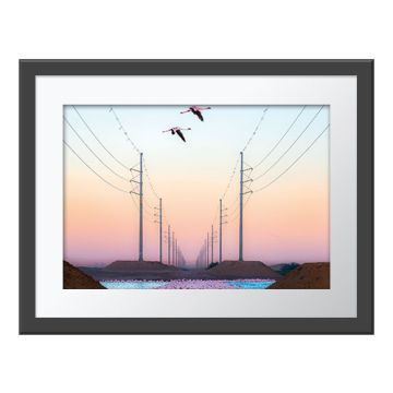 Beauty Against the Beast Wall Print in a grey frame. A flock of flamingos stand in water between two rows of power lines that stretch away in the sunset. Two flamingos fly above them.