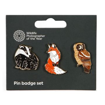 The three pin badge set displayed on their black card packaging. From left to right is a badger, fox and owl.