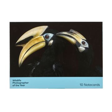 The pack's front cover is of two black-feathered hornbills cleaning each other's feathers with their yellow-gold beaks, against a black background.