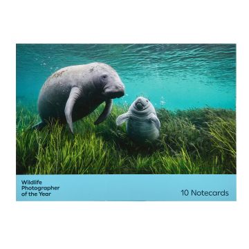 The pack's front cover is an underwater photo of a young manatee and its mother adrift among the eelgrass of Crystal River in Florida.