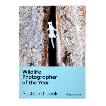 The pack's front cover is a photo of an ermine clambering across a crevice.