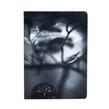 The black and white front cover image has the head of a Eurasian pygmy owl in the bottom left corner.
