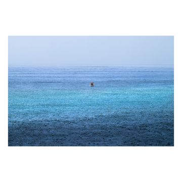 Seal Serenity is taken as if the photographer is at sea while it’s raining. In the distance, the head of a harbour seal breaks the surface and it stares at the camera. Image credit: © Luca Lorenz.