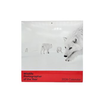 The front cover of the calendar features an image of arctic wolves in the snow.