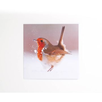 The front image of the Territorial Strut Christmas Card features a robin kicking up the snow.