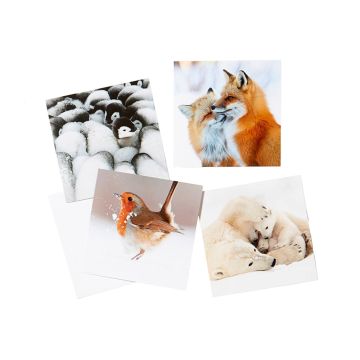 The four different card images shown with their envelopes. There's a huddle of emperor penguin chicks, two foxes nuzzling, a robin kicking up the snow and a polar bear with her two cubs.