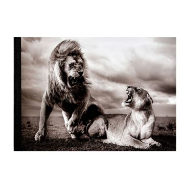 The front cover of the sketch pad is a black and white image of two lions roaring at each other on the Namiri Plains of Tanzania’s Serengeti National Park as storm clouds gather overhead. The black binding is on the left.