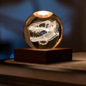 The luminated lamp is made up of a clear ball that rests on a square wooden block. Suspended inside the ball is a T. rex skull 3D lasered motif.