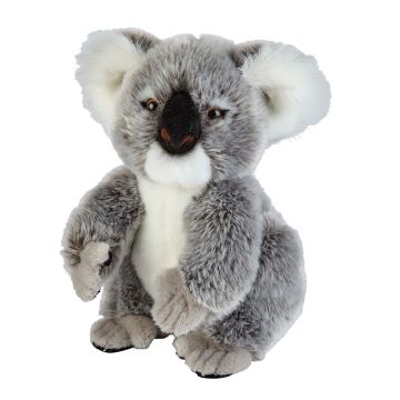 Koala Soft Toy