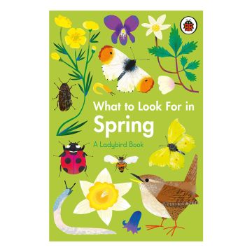 What to Look for in Spring front cover featuring illustrations of wildlife, including a bird, ladybird, butterflies, beetle and daffodil on a light green background and the title in white font.