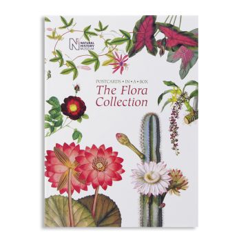 The Flora Collection: Postcards in a Box front cover