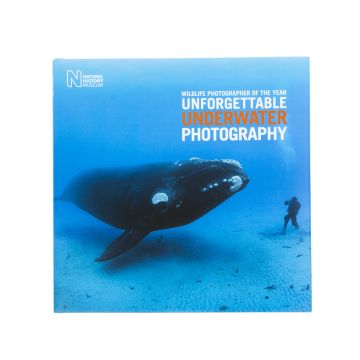Wildlife Photographer of the Year: Unforgettable Underwater Photography 