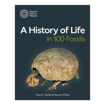 A History of Life in 100 Fossils front cover