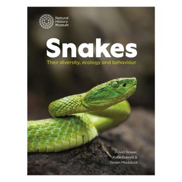Snakes: Their Diversity, Ecology and Behaviour front cover