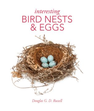 Interesting Bird Nests & Eggs front cover of a nest with four blue eggs in