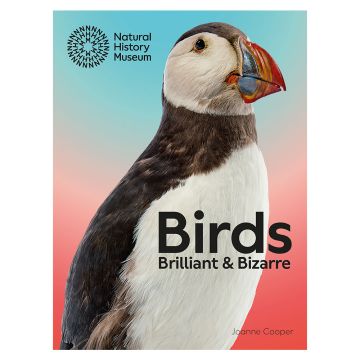 Birds: Brilliant & Bizarre book front cover with a large photograph of an Atlantic puffin.
