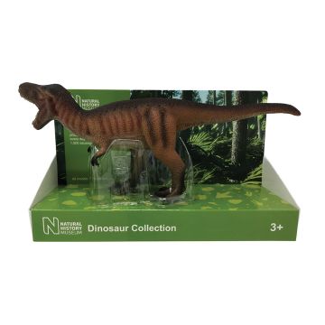 T. rex Model