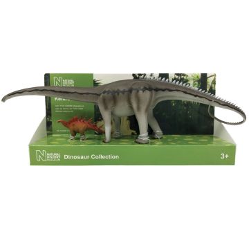Diplodocus and Kentrosaurus Models
