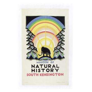 Vintage Design Natural History Museum Tea Towel