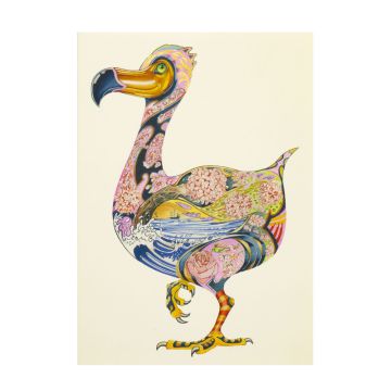 Dodo Greetings Card front cover