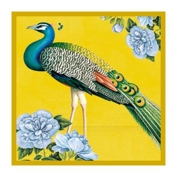 Indian Peacock Illustrated Greetings Card