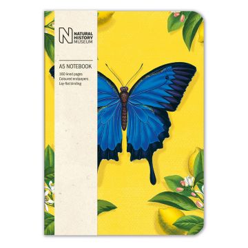 Ulysses Butterfly Notebook