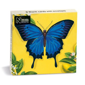 Ulysses Butterfly Greetings Cards Pack