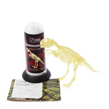 T. rex Skeleton 3D Puzzle with tube packaging and assembly instructions