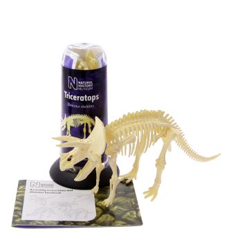 Assembled Triceratops Skeleton 3D Puzzle with packaging and instructions