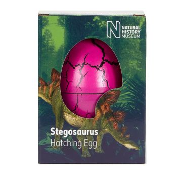 Stegosaurus Hatching Egg in a Box