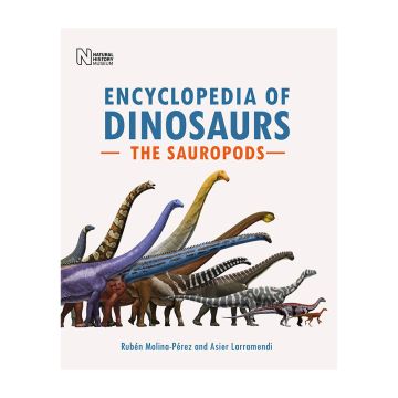 Encyclopedia of Dinosaurs: The Sauropods front cover showing different types of sauropods